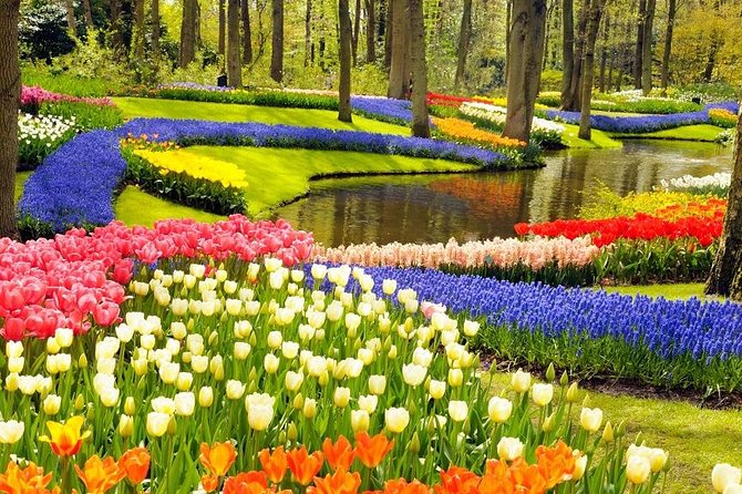 Private Tour to the Keukenhof and Tulip Fields - A private route from Amsterdam to the flower fields