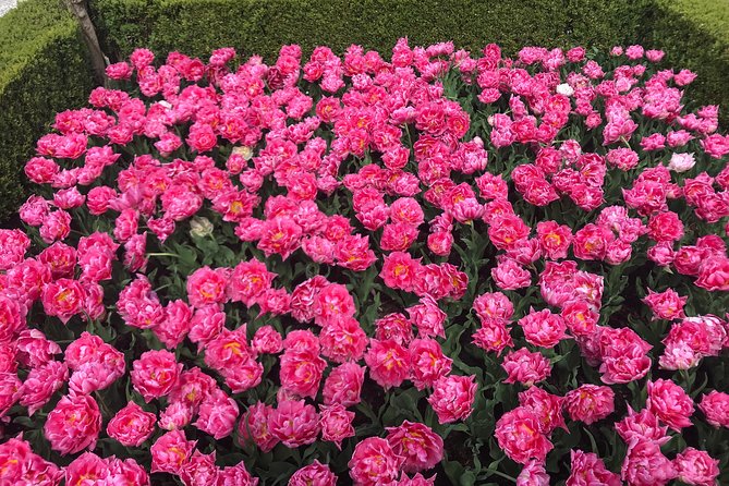 Private Tour to the Keukenhof and Tulip Fields - What the guide adds to the day