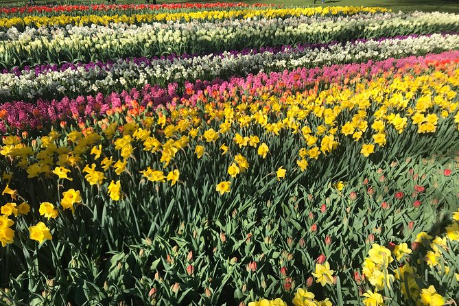 Private Tour to the Keukenhof and Tulip Fields - Who will get the most from this tour