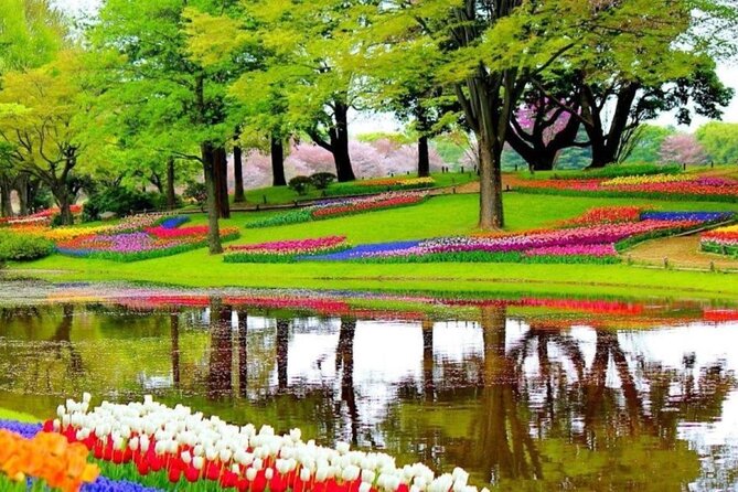 Private Tour to Tulips, Keukenhof, Windmills & Cheese Farm - A private route through the Dutch countryside