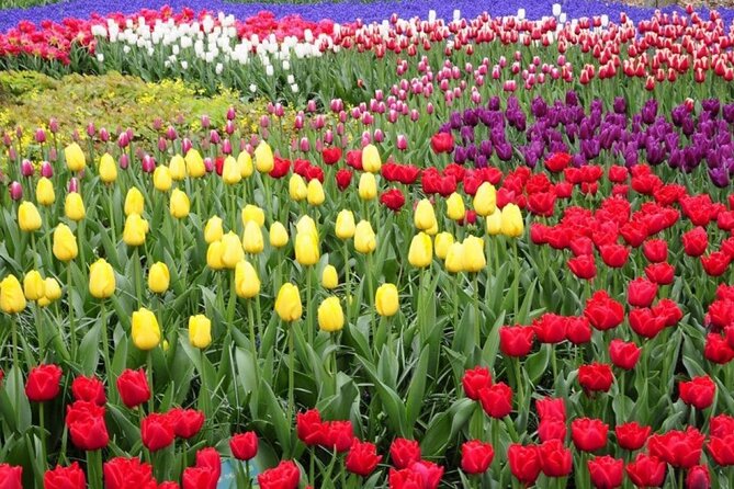 Private Tour to Tulips, Keukenhof, Windmills & Cheese Farm - Keukenhof: three hours among Dutch flower displays