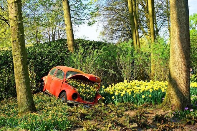 Private Tour to Tulips, Keukenhof, Windmills & Cheese Farm - The right season and the realities of tulip timing