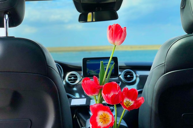 Private Tour to Windmills Zaanse Schans +Keukenhof - 7 Hours - A short stop at Noordwijkerhout’s tulip fields