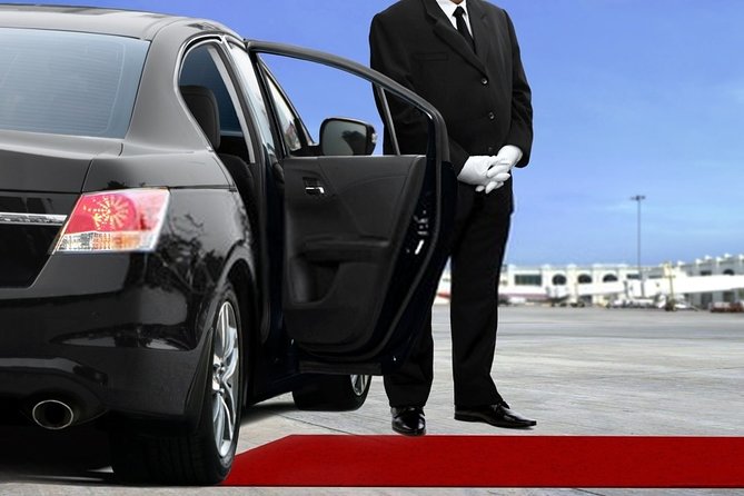 Private Transfer from Amsterdam Airport Schiphol to The Hague - Who will find this transfer most useful?