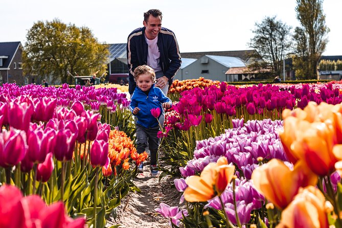 Private Tulip Fields, Windmills and Cheese Tour from Amsterdam - Zaanse Schans: windmills that still do real work
