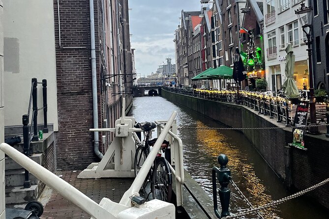Private Walking Tour of Amsterdam - Leidseplein, nightlife, statues, and street art