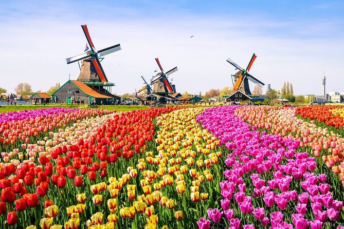 Private Zaanse Schans & Volendam Tour: Windmills, Cheese & Clogs - What the best guides add