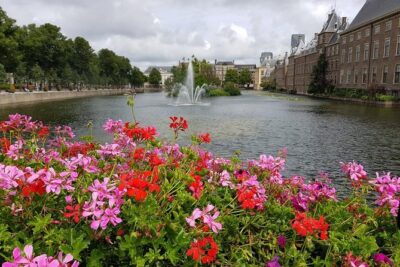 privatetour Delft, The Hague&Rotterdam Kinderdijk from Amsterdam