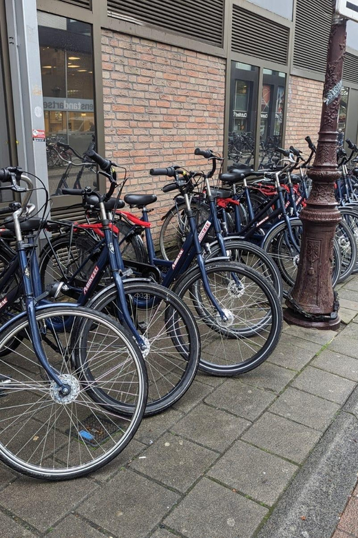 Rent a bike in Amsterdam | 1, 2, 3+ hours - What three gears and roller brakes mean in practice