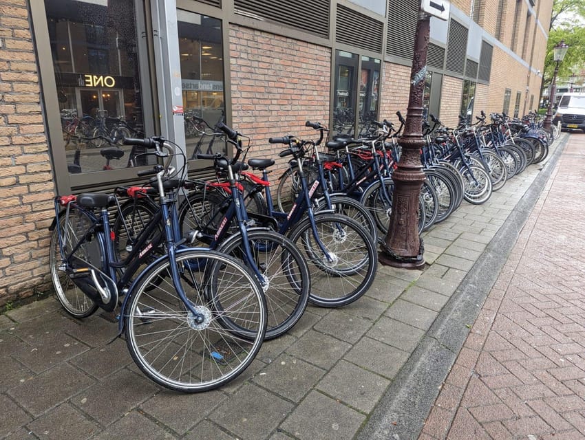 Rent a bike in Amsterdam | 1, 2, 3+ hours - Who will enjoy this Amsterdam rental most