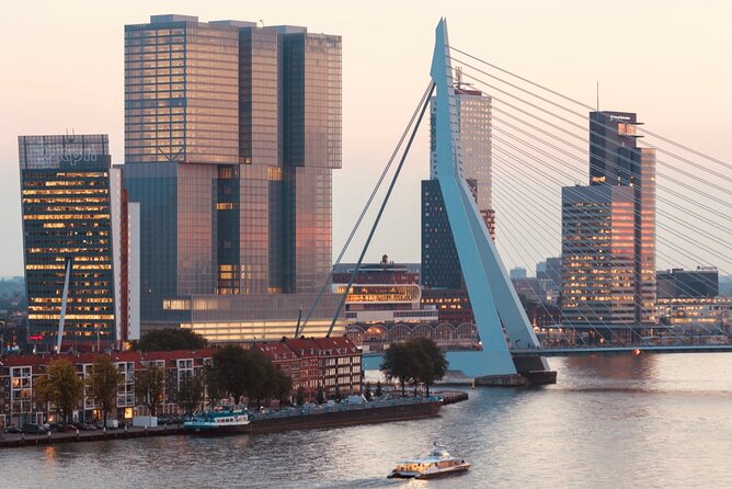 Rotterdam, Delft and The Hague Small Group Tour from Amsterdam - Who should book this tour?