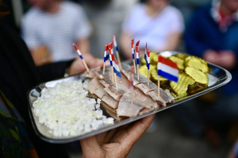 Secret Food Tours Amsterdam - Dutch cheese gets more than a quick sample