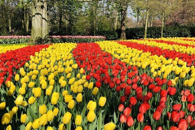 Skip-the-Line Keukenhof Gardens and Tulip Fields Tour from Amsterdam - Is $639.96 a good price for up to four?