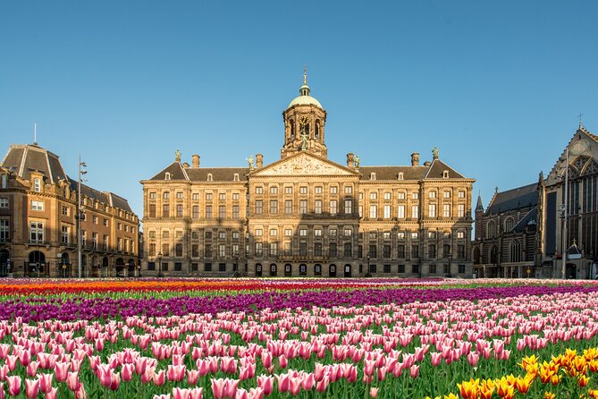 Skip-the-line Royal Palace of Amsterdam Private Guided Tour - At a glance: what makes this tour useful