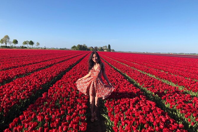 Small Group Keukenhof and Delft Guided Tour from Amsterdam - At a glance: what this nine-hour outing delivers