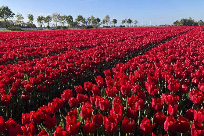 Small Group Keukenhof and Delft Guided Tour from Amsterdam - Delftware: the most distinctive stop after Keukenhof