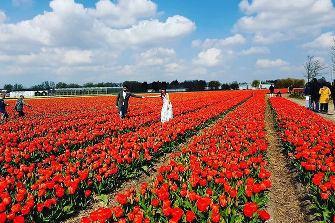 Small Group Keukenhof and Delft Guided Tour from Amsterdam - The guide makes a real difference