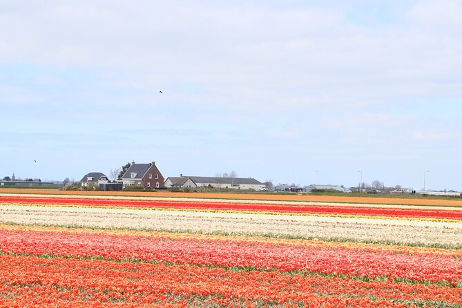 Small Group Keukenhof and Delft Guided Tour from Amsterdam - Is $191.88 a fair price?