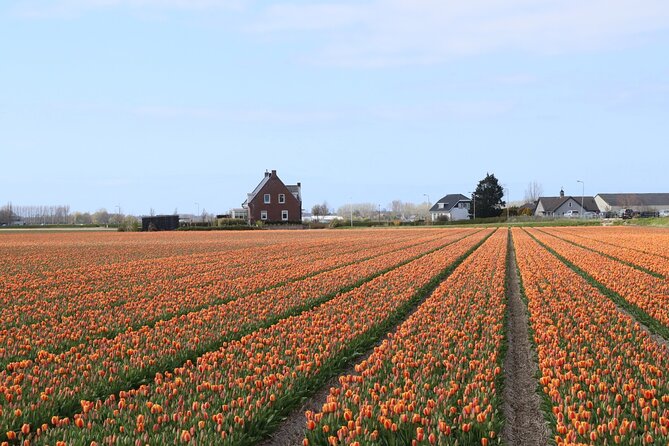 Small Group Keukenhof and Delft Guided Tour from Amsterdam - Who should book this combination?