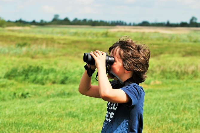 Small Group Tour to NP Hoge Veluwe (van Gogh) from Amsterdam - Should you book the Hoge Veluwe and Van Gogh tour?