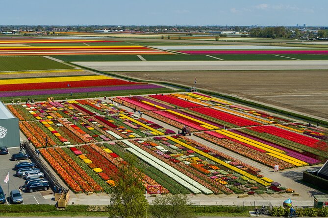 Tour to Giethoorn and Keukenhof Tulip Fields from Amsterdam - Who will get the most from this outing?