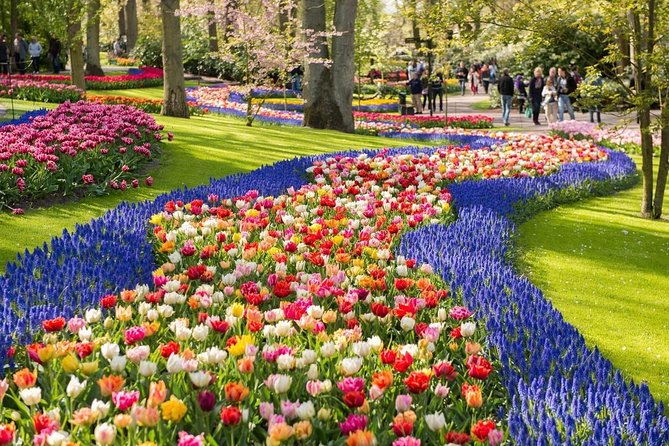 Tulip Experience and Keukenhof Flower Gardens Tour from Amsterdam - Inside the Tulip Experience Amsterdam