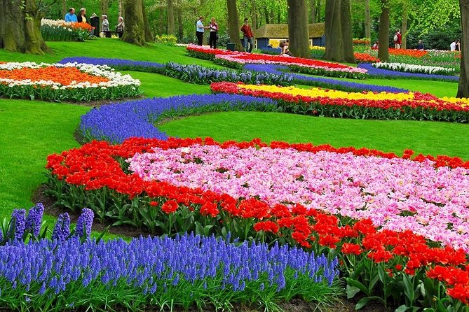 Tulip Experience and Keukenhof Flower Gardens Tour from Amsterdam - Practical Details Before You Book