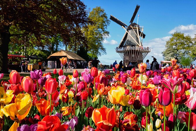 Tulip Paradise: Keukenhof Half-Day Private Tour - Why the drive matters as much as the garden