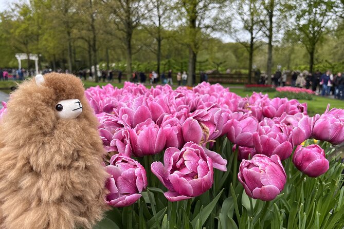 Tulip Paradise: Keukenhof Half-Day Private Tour - Stories, questions, and the human touch