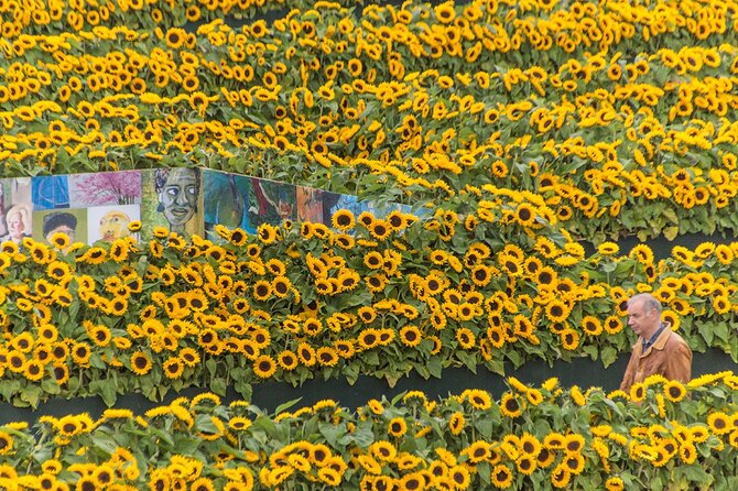 Van Gogh Museum Skip the Queue with Audio Guide - What the price means at $111.74