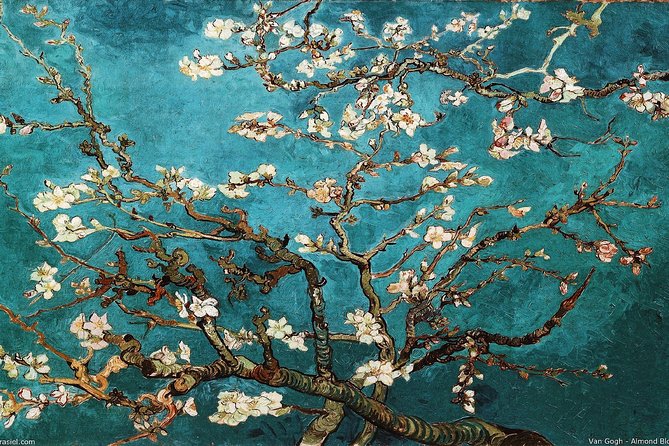 Van Gogh Museum Tour Reserved Entry Semi Private - Who will enjoy this Van Gogh tour most