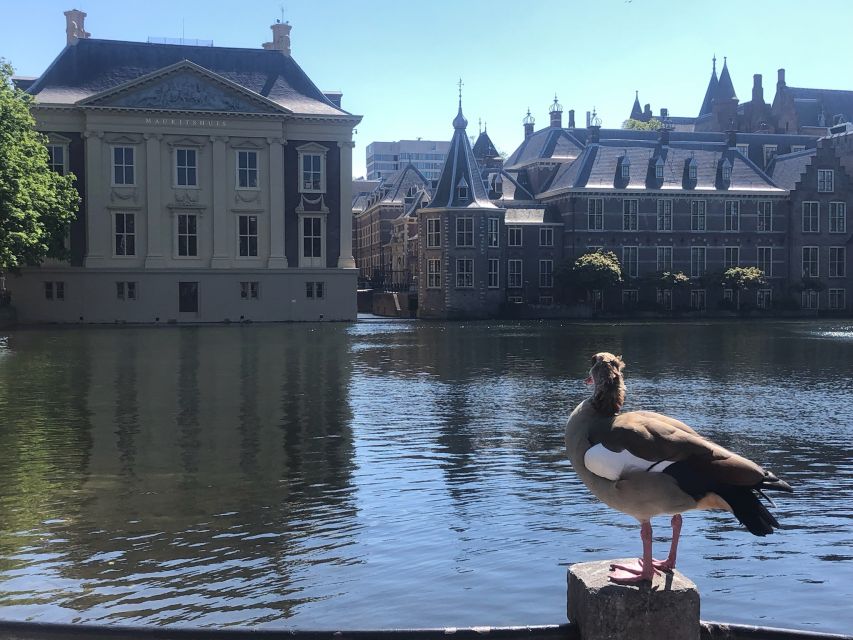 Visit the Girl with the Pearl Earring, The Hague & Delft - Who will enjoy this tour most?