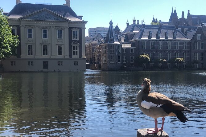 Visit the Girl with the Pearl Earring, The Hague & Delft City - Why this day works for Vermeer fans