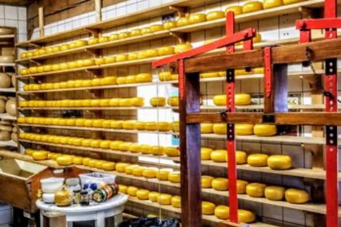 Windmills Country side tour Zaanse Schans-Cheesefactory-Volendam - Timing, value, and practical planning