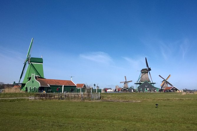 Zaanse Schans 3-Hour Private Tour from central Amsterdam, Airport or Port - Tasting Dutch cheese at Catharina Hoeve