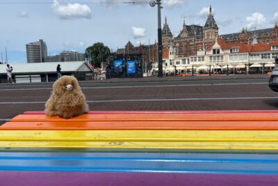 Zaanse Schans Edam Volendam Private Day Tour from Amsterdam